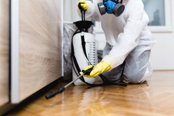 Best Termite Control Services  in Warrington, FL