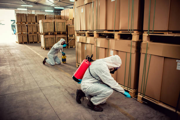 Best Best Pest Control Companies  in Warrington, FL