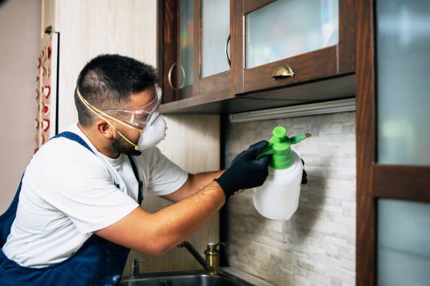 Best Pest Control for Restaurants  in Warrington, FL