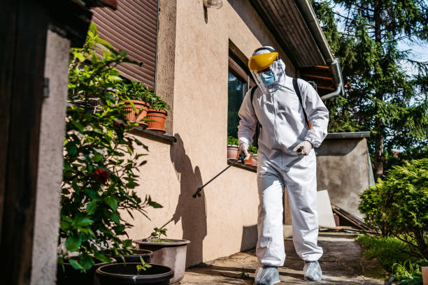 Best Mosquito Control Services  in Warrington, FL
