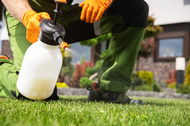 Pest Control for Restaurants in Warrington, FL