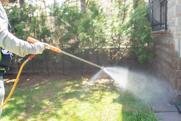 Best Pest Inspection Near Me  in Warrington, FL