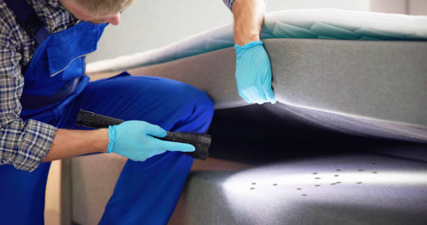 Best Pest Control Near Me  in Warrington, FL