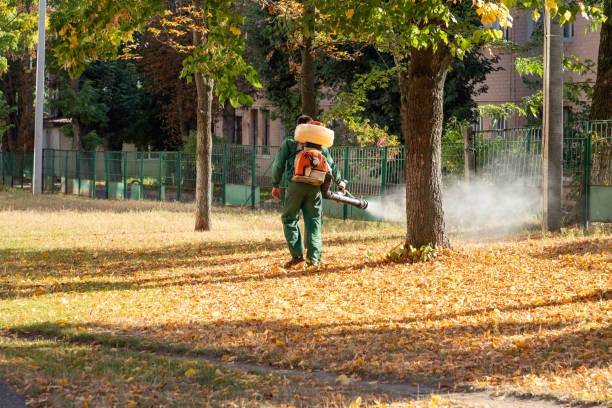 Best Flea Control Services  in Warrington, FL