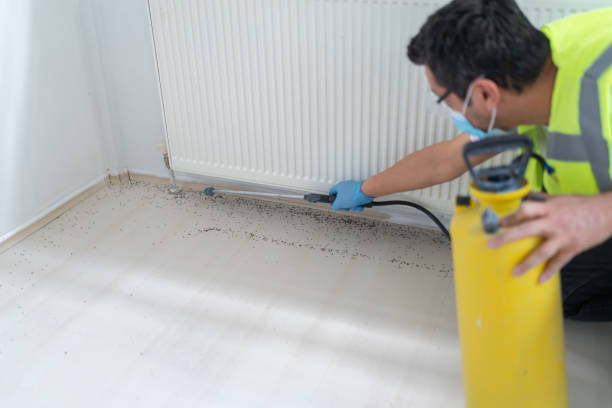 Best Affordable Pest Control Services  in Warrington, FL